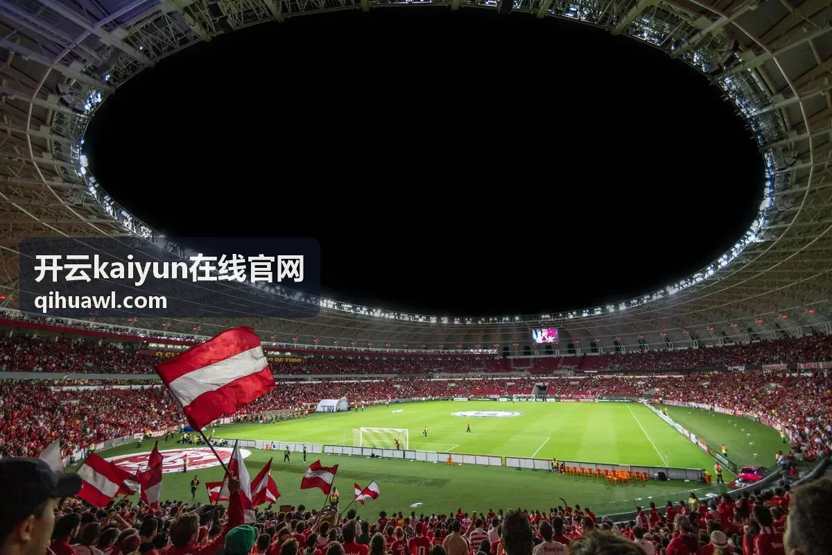 开云kaiyun在线官网文档与公告协作功能展示